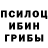 Галлюциногенные грибы мицелий Gargantua _Int